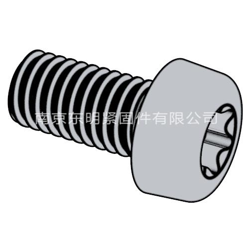 GB/T 2672 - 2017 內(nèi)六角花形盤頭螺釘