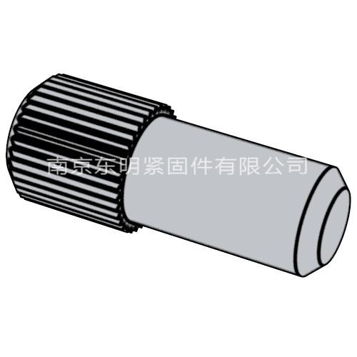 QC T 364 - 1999 滾花圓柱銷(xiāo)