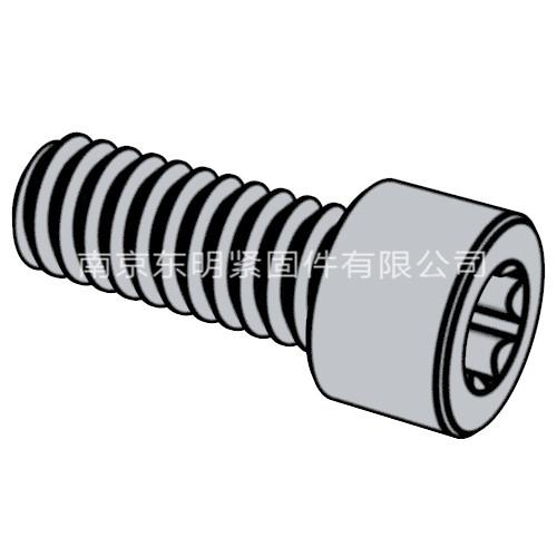 GB/ T 2671.2 - 2017 內(nèi)六角花形圓柱頭螺釘
