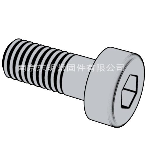 DIN 6912 - 2009 內(nèi)六角帶導(dǎo)向孔矮圓柱頭螺釘